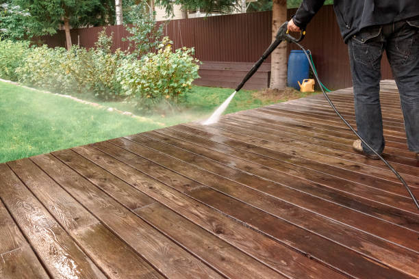 Best Gutter Cleaning  in Jackson, LA